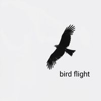Domenico Cascarino - Bird Flight