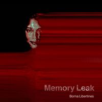 Borna Libertines - Memory Leak