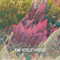 The Icicle Works - Birds Fly (Whisper to a Scream) (Situation Two Version)