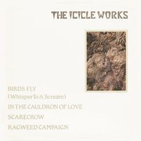 The Icicle Works - Birds Fly (Whisper to a Scream) (Beggars Banquet Version)
