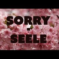 Sorry - Seele (Explicit)