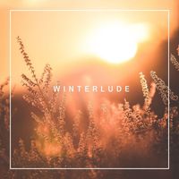Daryl Lunsford - Winterlude