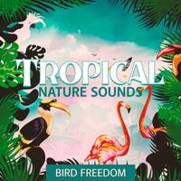 Outside Broadcast Recordings - Tropical Nature Sounds: Bird Freedom