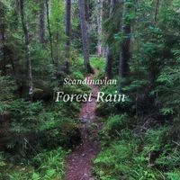Nordic Wilderness - Scandinavian Forest Rain