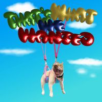 Dogboy - That's What We Wanted