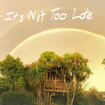 Tony Q (NZ) - It's Not Too Late