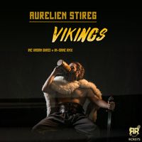 Aurelien Stireg - Vikings