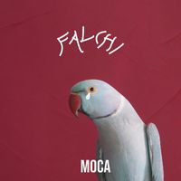 Moca - Falchi