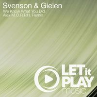 Svenson & Gielen - We Know What You Did