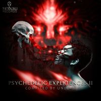 Under 8 - Psychedelic Experiences II