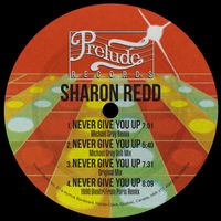 Sharon Redd - Never Give You Up (Michael Gray Remix)