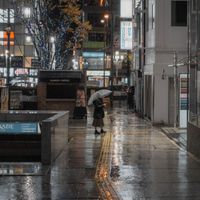 Hajime Yajima - Shinjuku in the Rain