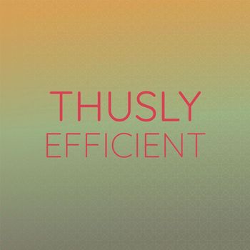 Various Artists - Thusly Efficient