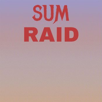 Various Artists - Sum Raid