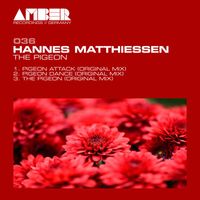 Hannes Matthiessen - The Pigeon