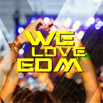 Various Artists - We Love EDM