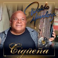 Waldo Mendoza - Cigueña