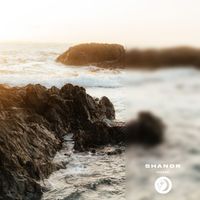 shandr - Home