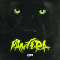 ZOO - Pantera