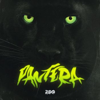 ZOO - Pantera