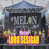 Melon - Loro Sesigar
