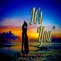 Voice in the Dark - It's You