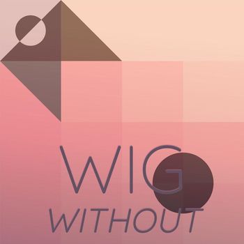 Various Artists - Wig Without