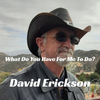 David Erickson - What Do You Have For Me To Do?