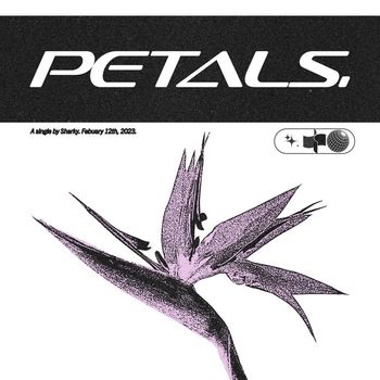 Sharky - Petals (Explicit)