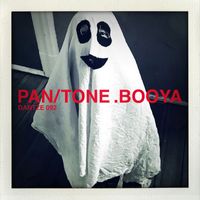 Pan/Tone - Booya
