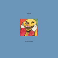 tunic - Wrong Dream