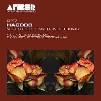 Hacobb - Nepenthe / Converting Storms