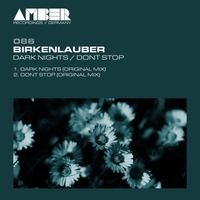 birkenlauber - Dark Nights / Dont Stop