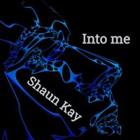 Shaun Kay - Into Me
