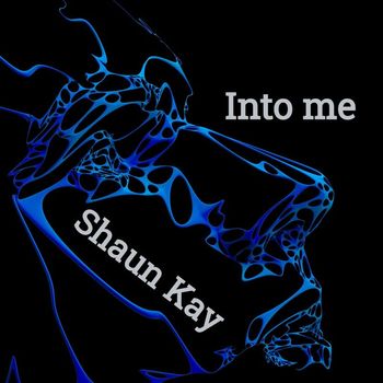Shaun Kay - Into Me