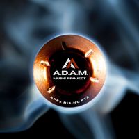 A.D.A.M. MUSIC PROJECT - Apex Rising - P2