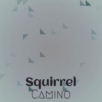 Various Artists - Squirrel Camino
