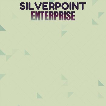 Various Artists - Silverpoint Enterprise