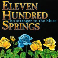 Eleven Hundred Springs - No Stranger to the Blues