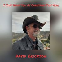 David Erickson - I Just Want You At Christmas This Year
