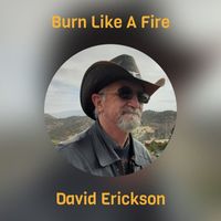 David Erickson - Burn Like A Fire