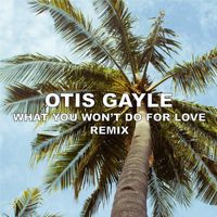 Otis Gayle - What You Won't Do For Love (Remix)