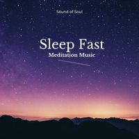 Sound Of Soul - Sleep Fast