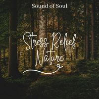 Sound Of Soul - Stress Relief Meditation