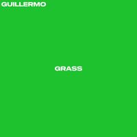 Guillermo - Grass