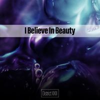 Various Artists - I Believe In Beauty District XXIII