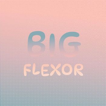 Various Artists - Big Flexor
