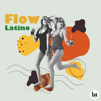 Various Artist - Flow Latino