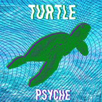 Psyche - Turtle
