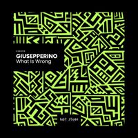 Giusepperino - What Is Wrong